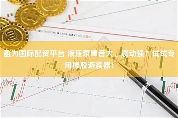 盈为国际配资平台 液压泵噪音大、震动强？试试专用橡胶避震器！