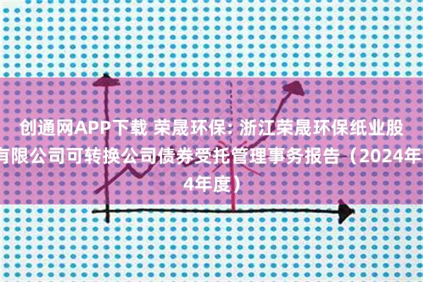 创通网APP下载 荣晟环保: 浙江荣晟环保纸业股份有限公司可转换公司债券受托管理事务报告（2024年度）