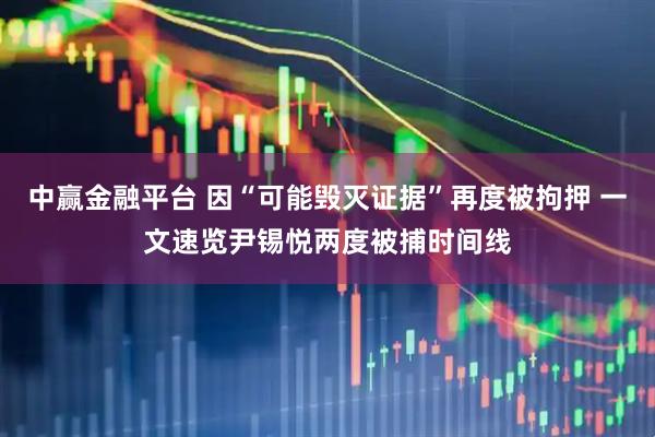 中赢金融平台 因“可能毁灭证据”再度被拘押 一文速览尹锡悦两度被捕时间线